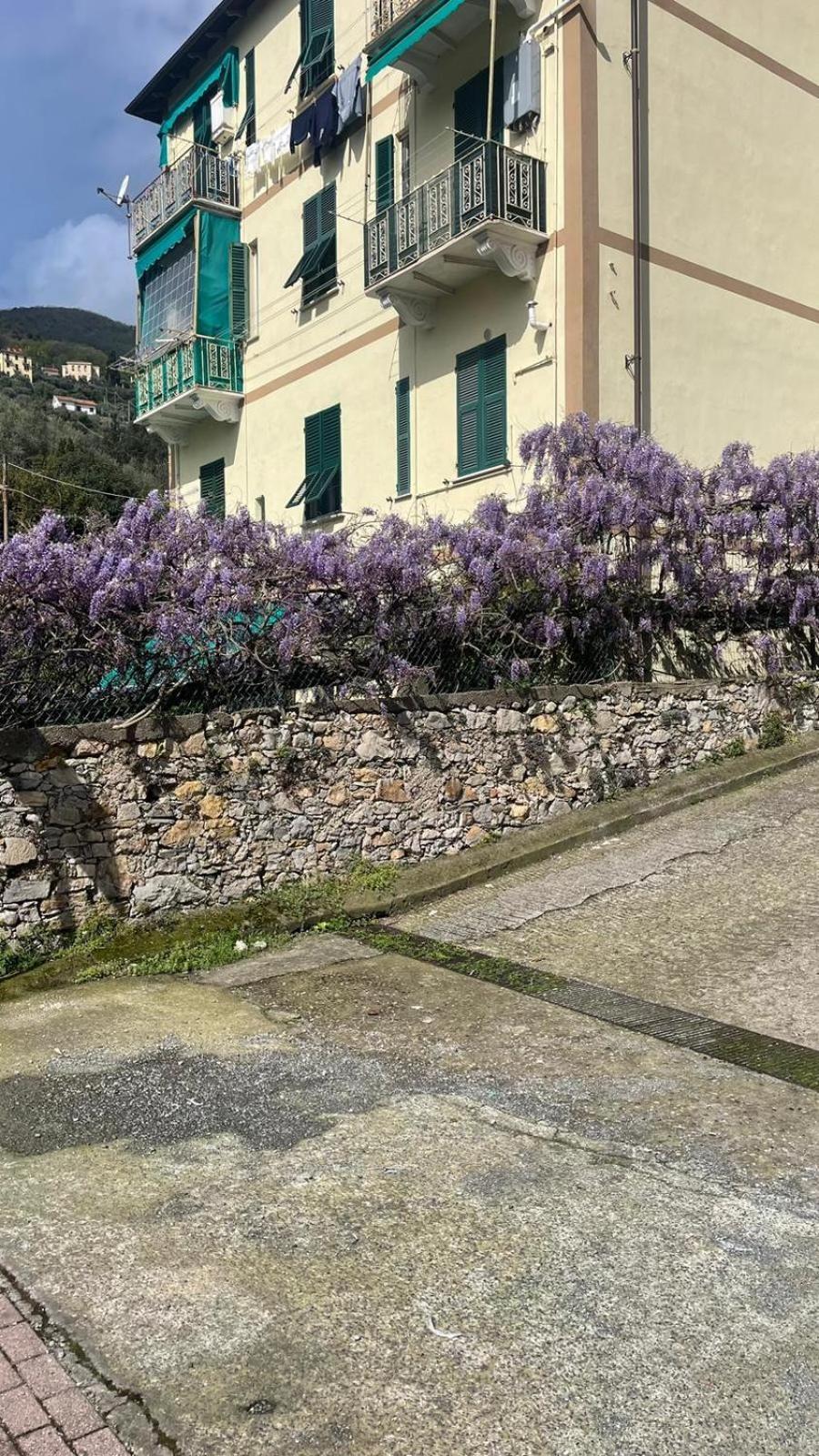 Chez Amelie Lägenhet La Spezia Exteriör bild